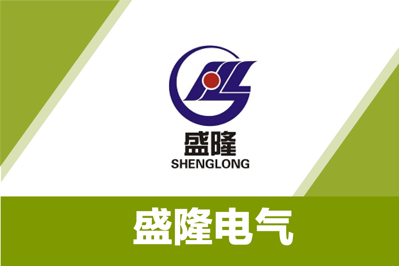 盛隆电气
